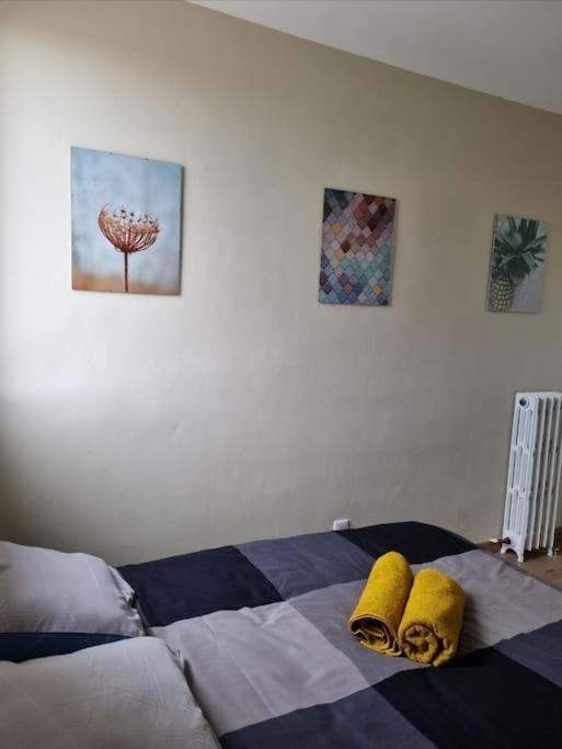 Superbe T3 Cosy, Parking Gratuit + Balcon Daire Riom Dış mekan fotoğraf