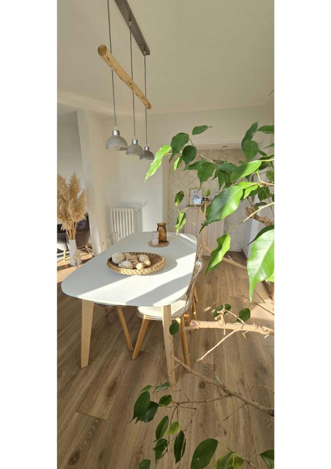 Superbe T3 Cosy, Parking Gratuit + Balcon Daire Riom Dış mekan fotoğraf